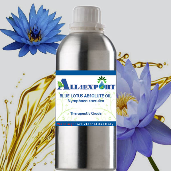 BLUE LOTUS ABSOLUTE OIL